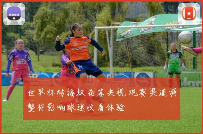 世界杯转播权花落央视 观赛渠道调整将影响球迷收看体验