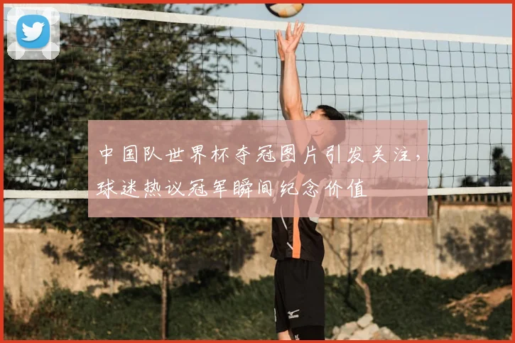 中国队世界杯夺冠图片引发关注,球迷热议冠军瞬间纪念价值