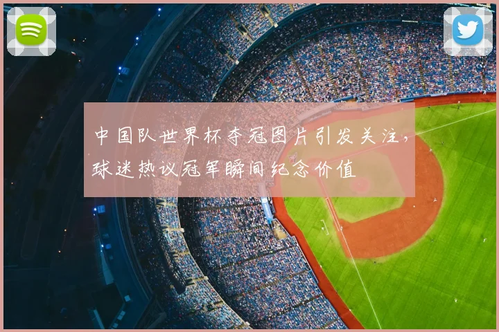 中国队世界杯夺冠图片引发关注,球迷热议冠军瞬间纪念价值